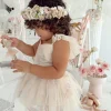 Ballerina Champagne Pink Girls Flower Crown