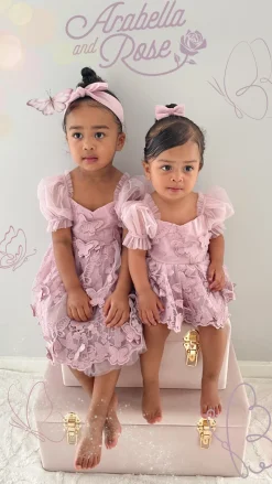 Butterfly Dusty Rose Baby Girl Tulle Hair Accessories