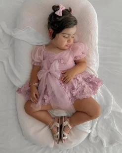 Butterfly Kisses Dusty Rose Baby Girl Romper