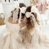 Nutcracker Champagne Girls Flower Girl Dress