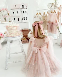 Sleeping Beauty Ballerina Pink Girls Party Dress