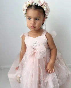 Sleeping Beauty Ballerina Pink Girls Party Dress