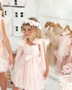 Sleeping Beauty Ballerina Pink Girls Party Dress